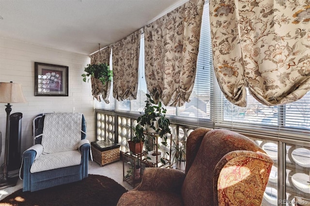 living area with a wealth of natural light, a textured ceiling, and carpet