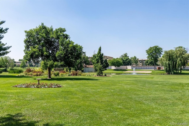 view of home's community featuring a yard