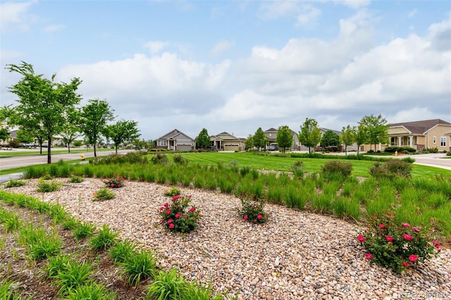 7991 Heritage Dr, Thornton, CO 80602 - view of yard featuring a residential view