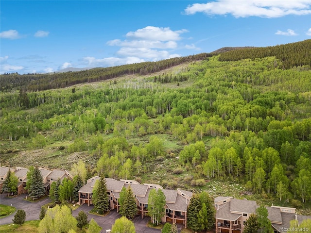 23177 Barbour Dr Unit 14, Dillon, CO 80435 - photo 38