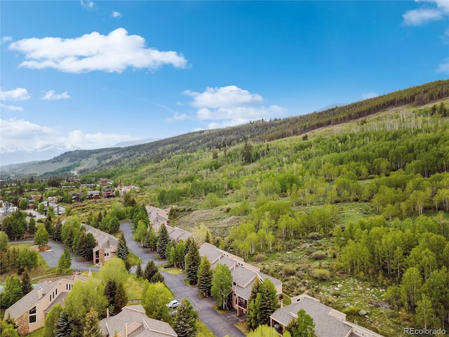 23177 Barbour Dr Unit 14, Dillon, CO 80435 - photo 39