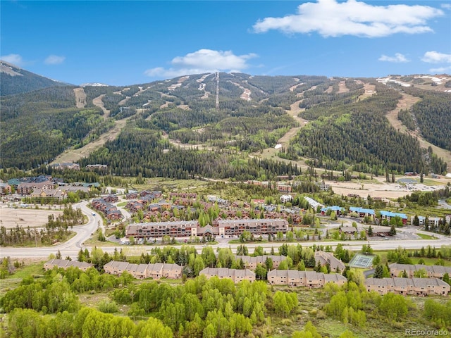 23177 Barbour Dr Unit 14, Dillon, CO 80435 - photo 41