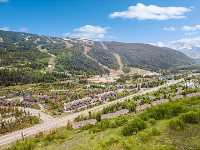 23177 Barbour Dr Unit 14, Dillon, CO 80435 - photo 42