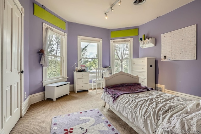 835 Niagara St, Denver, CO 80220 - carpeted bedroom with track lighting and baseboards