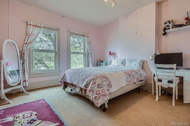 835 Niagara St, Denver, CO 80220 - bedroom featuring light carpet and track lighting