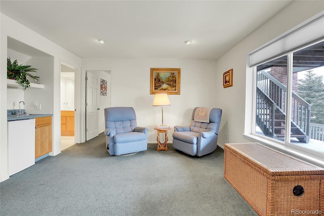 living area with dark colored carpet