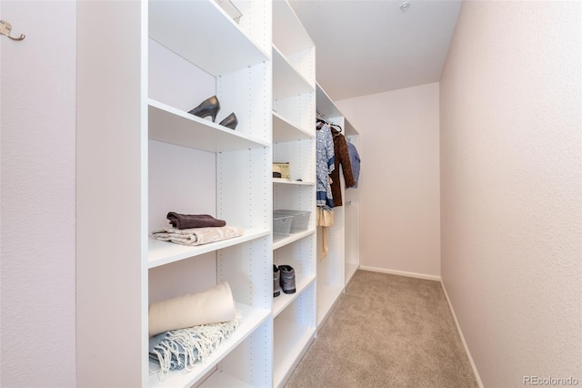 walk in closet featuring light carpet