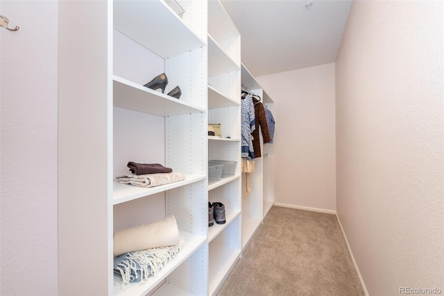 3100 Blue Sky Cir Unit 205, Erie, CO 80516 - walk in closet featuring carpet