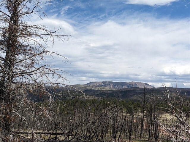415-416 Mulligan Ln, Fort Garland, CO 81133 - photo 7