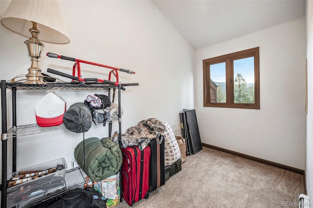 327 Bounty Hunter Ln, Bailey, CO 80421 - photo 15