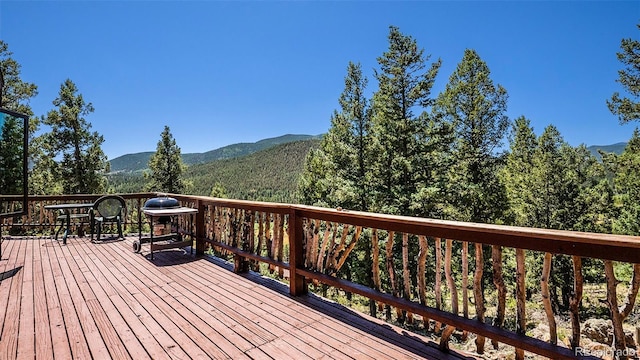 327 Bounty Hunter Ln, Bailey, CO 80421 - photo 23