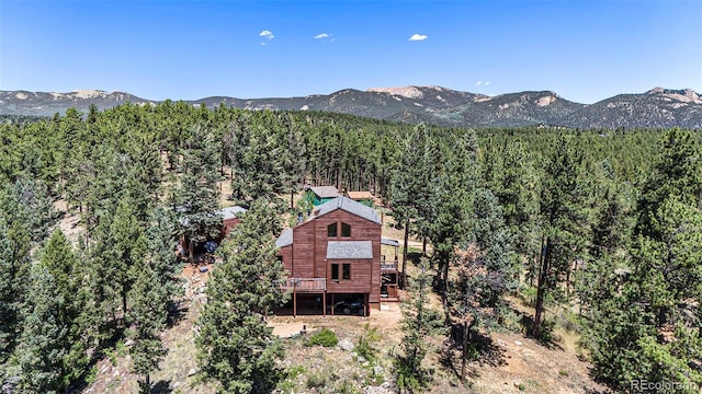 327 Bounty Hunter Ln, Bailey, CO 80421 - photo 25