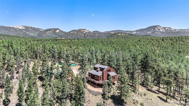 327 Bounty Hunter Ln, Bailey, CO 80421 - photo 26
