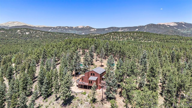 327 Bounty Hunter Ln, Bailey, CO 80421 - photo 27