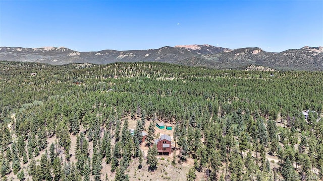 327 Bounty Hunter Ln, Bailey, CO 80421 - photo 28