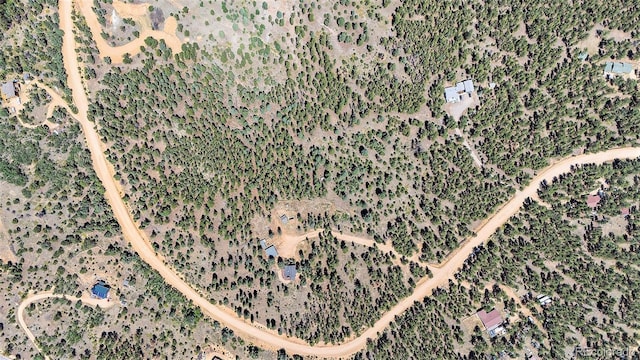 327 Bounty Hunter Ln, Bailey, CO 80421 - photo 29