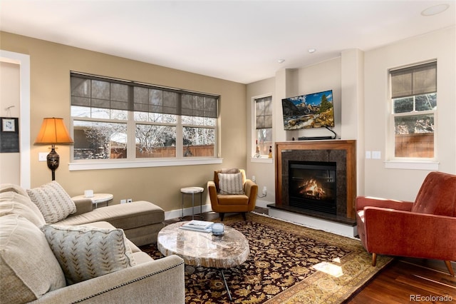 living room with wood finished floors, a premium fireplace, and baseboards