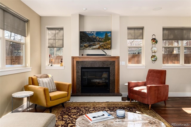 living area featuring a fireplace, a wealth of natural light, baseboards, and wood finished floors