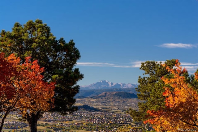 view of mountain feature