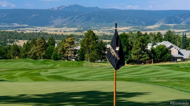 view of property's community featuring a mountain view and a lawn