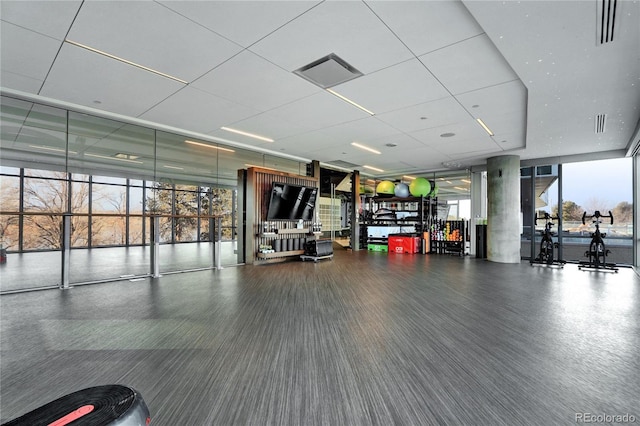 gym with carpet floors and expansive windows