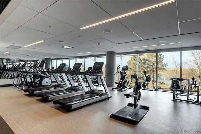 exercise room featuring floor to ceiling windows