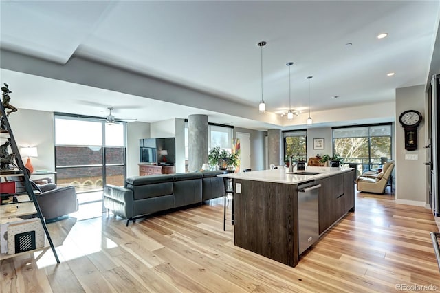 kitchen featuring light wood-style flooring, stainless steel dishwasher, open floor plan, dark brown cabinetry, and a sink