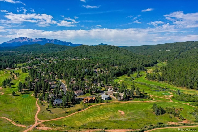 1484 Masters Dr, Woodland Park, CO 80863 - photo 3
