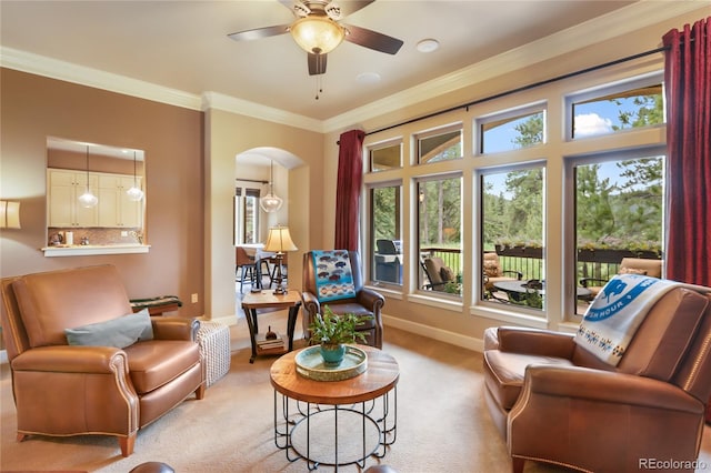 1484 Masters Dr, Woodland Park, CO 80863 - photo 8