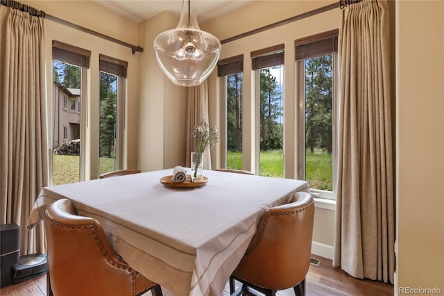 1484 Masters Dr, Woodland Park, CO 80863 - photo 17
