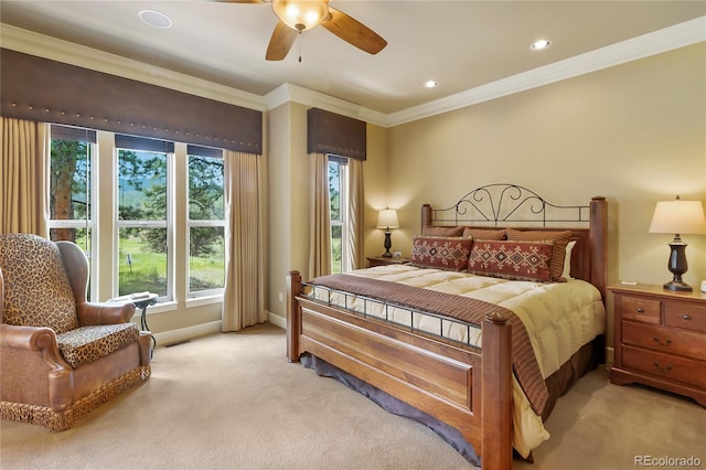 1484 Masters Dr, Woodland Park, CO 80863 - photo 19