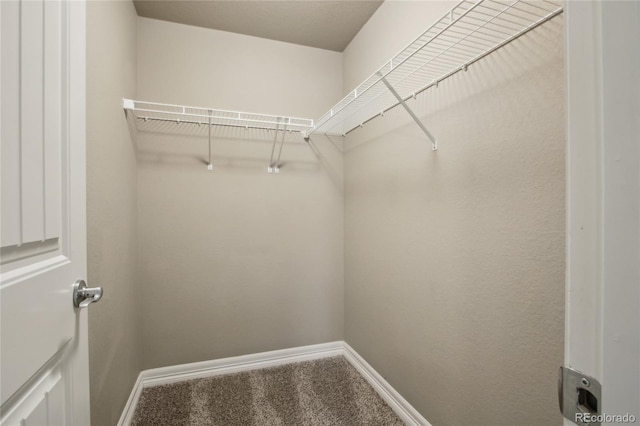spacious closet with carpet