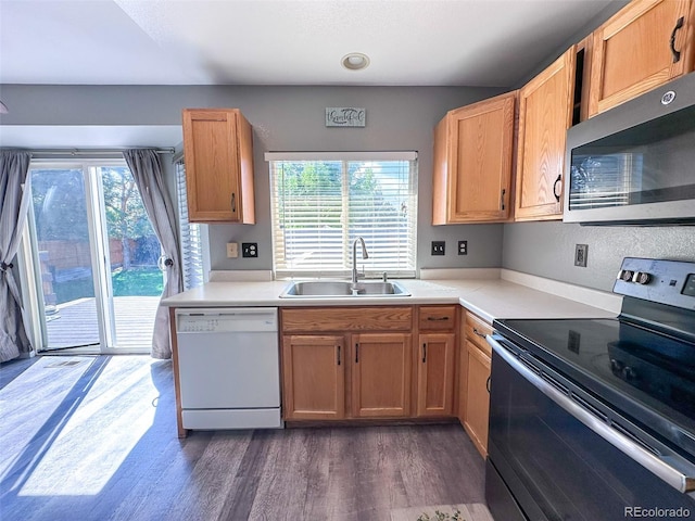 5095 Miriam Ln, Parker, CO 80134 - photo 10