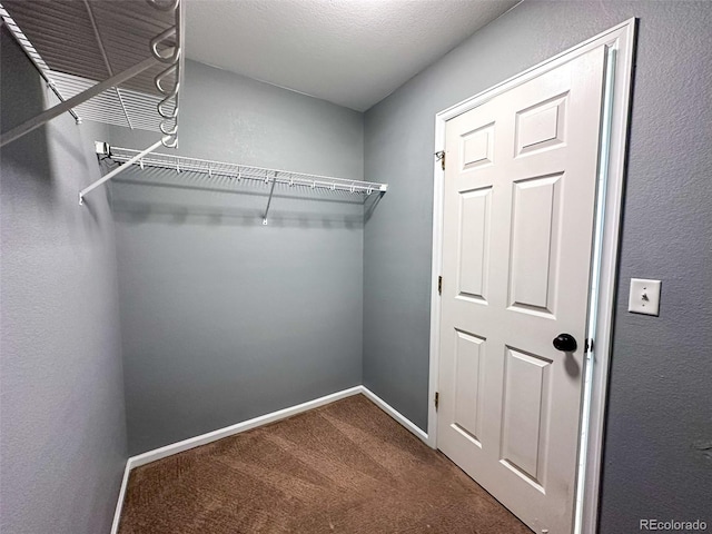 5095 Miriam Ln, Parker, CO 80134 - photo 17