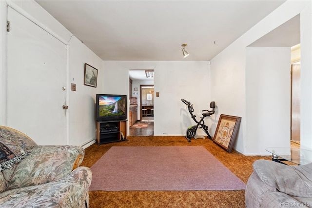 living room with baseboard heating and carpet