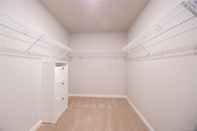 walk in closet with light carpet