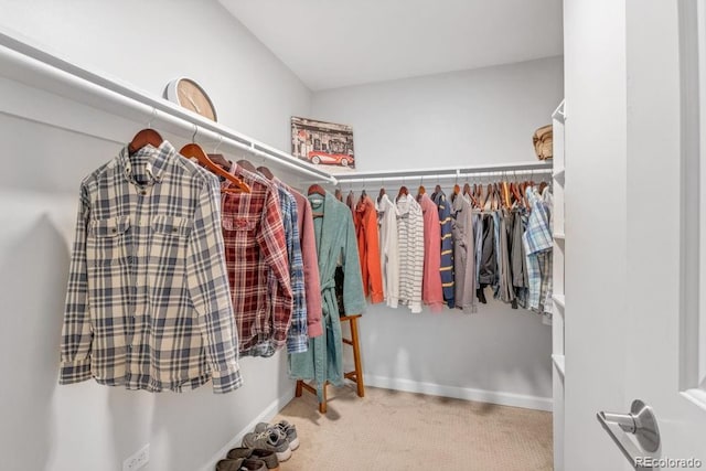 spacious closet with carpet