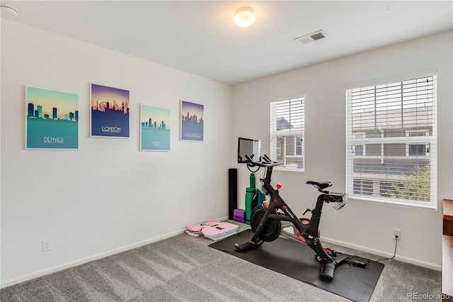 3412 Valentia St, Denver, CO 80238 - photo 23