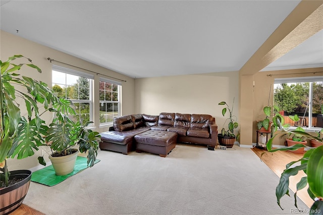 106 Cherry St, Castle Rock, CO 80104 - carpeted living room featuring healthy amount of natural light