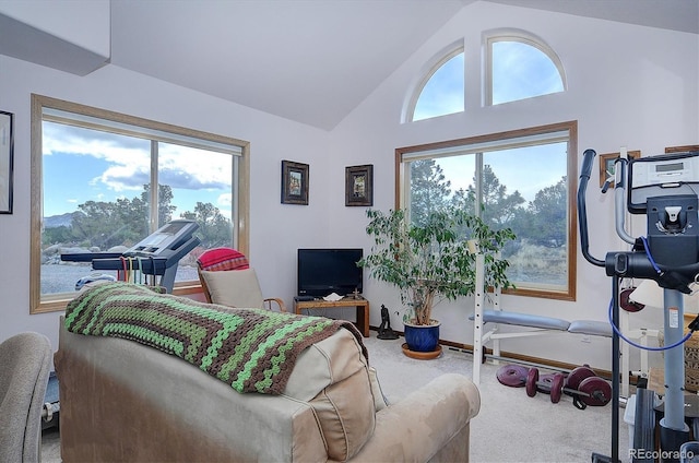 living room featuring carpet flooring and high vaulted ceiling