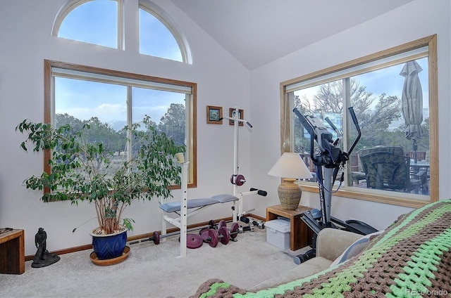 workout area with high vaulted ceiling and carpet