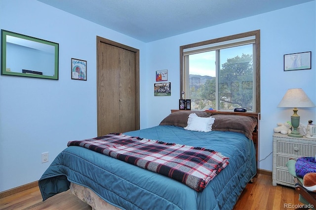 bedroom with wood-type flooring and a closet