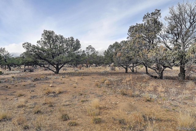 view of local wilderness with a rural view