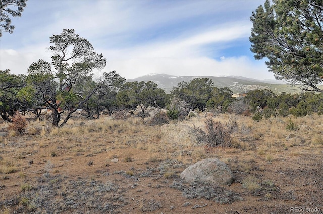 view of mountain feature