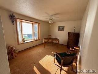 6958 Brentwood Ct, Arvada, CO 80004 - photo 12