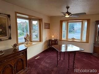 6958 Brentwood Ct, Arvada, CO 80004 - photo 13