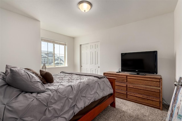 10208 Walden Ct, Commerce City, CO 80022 - photo 25