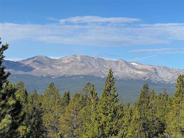 670 Alpine Cirque, Leadville, CO 80461 - photo 1