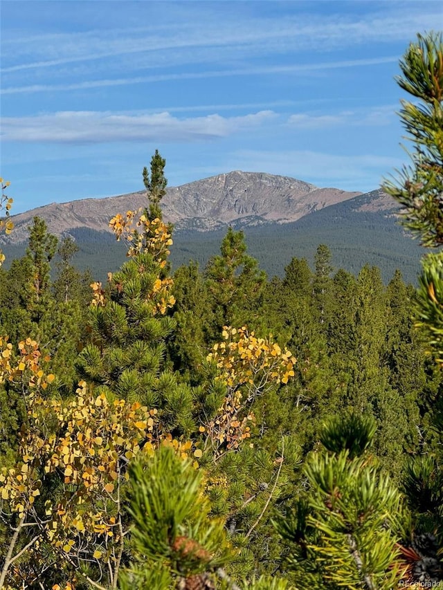 670 Alpine Cirque, Leadville, CO 80461 - photo 3