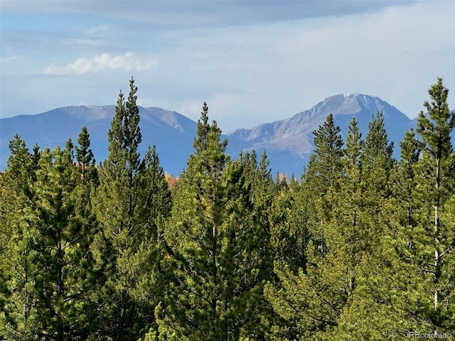 670 Alpine Cirque, Leadville, CO 80461 - photo 4